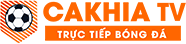 ta nợ tình quá nhiều trước khi vô địch
